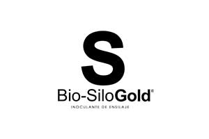 bio-silo-gold-300