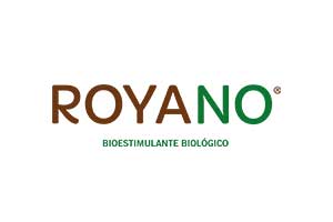 royano-300